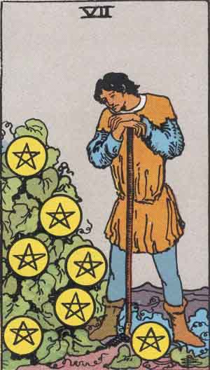 SEVEN OF PENTACLES